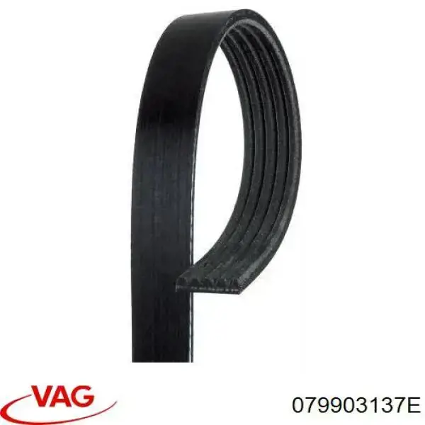 Купить 079903137E VAG Ремень генератора
