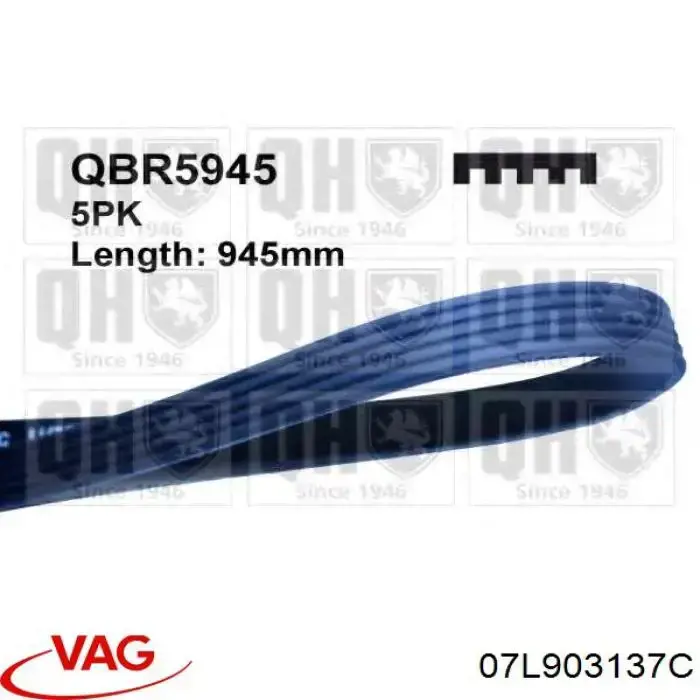 Клиновый ремень VAG 07L903137C цена, от 8.47 USD