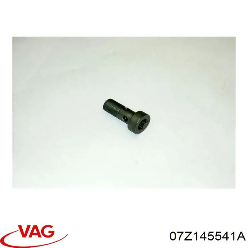 07Z145541A VAG 