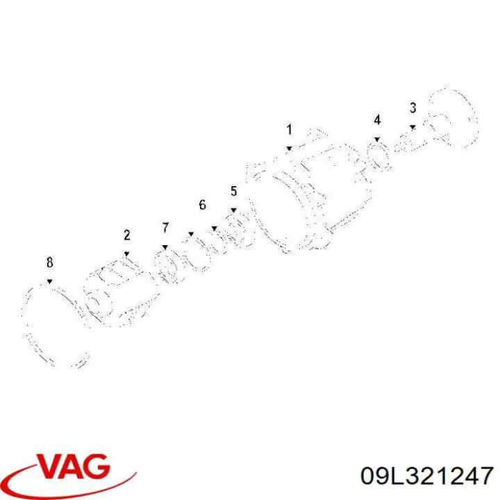 09L321247 VAG 