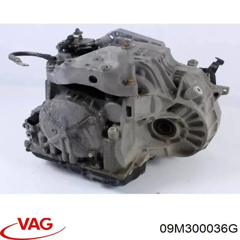  09M300036G VAG