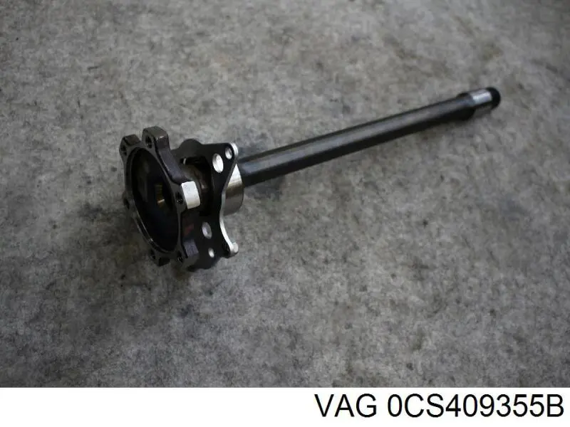  0CS409355B VAG