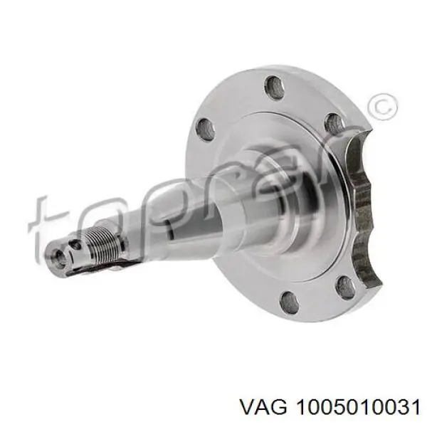 Поворотный кулак задний VAG 1005010031 цена, от 16.42 USD