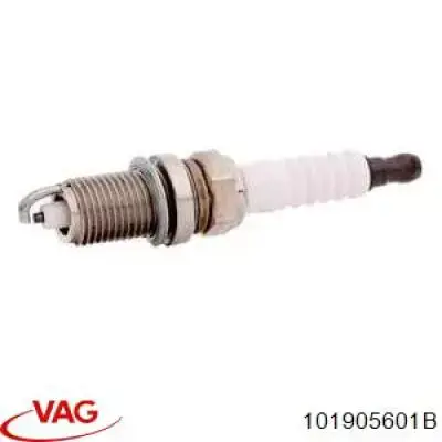 101905601B VAG vela de ignição