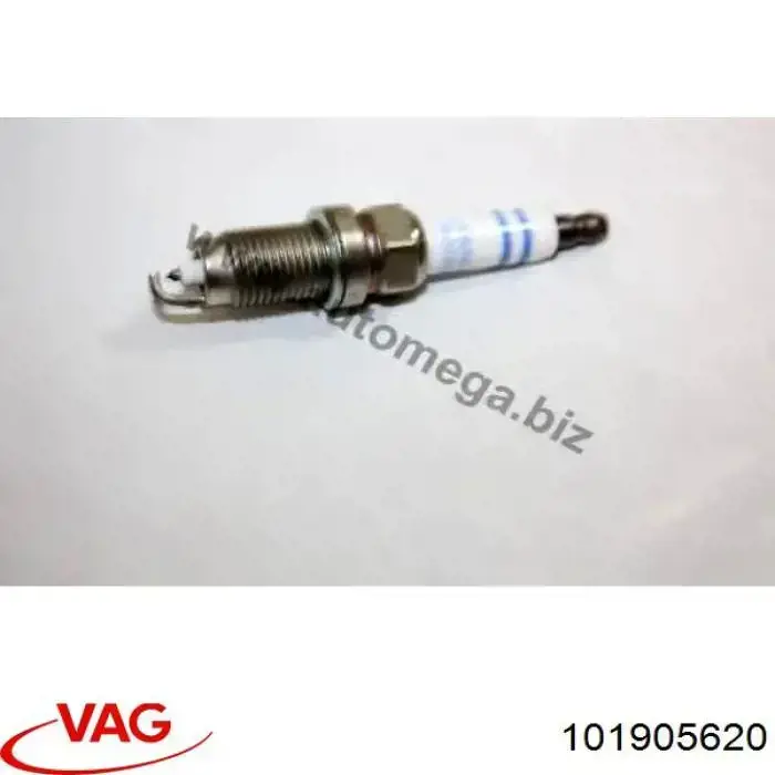 101905620 VAG