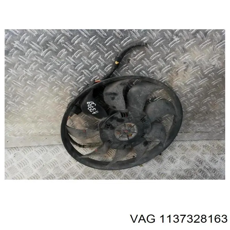  1137328163 VAG