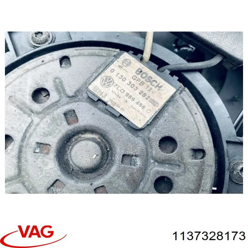 1137328173 VAG 