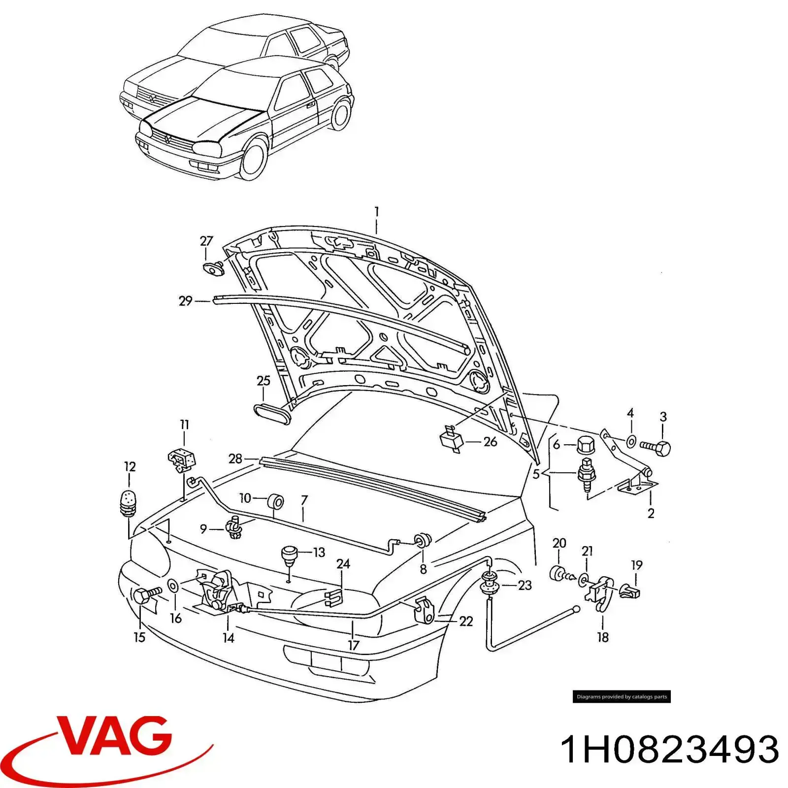  1H0823493 VAG
