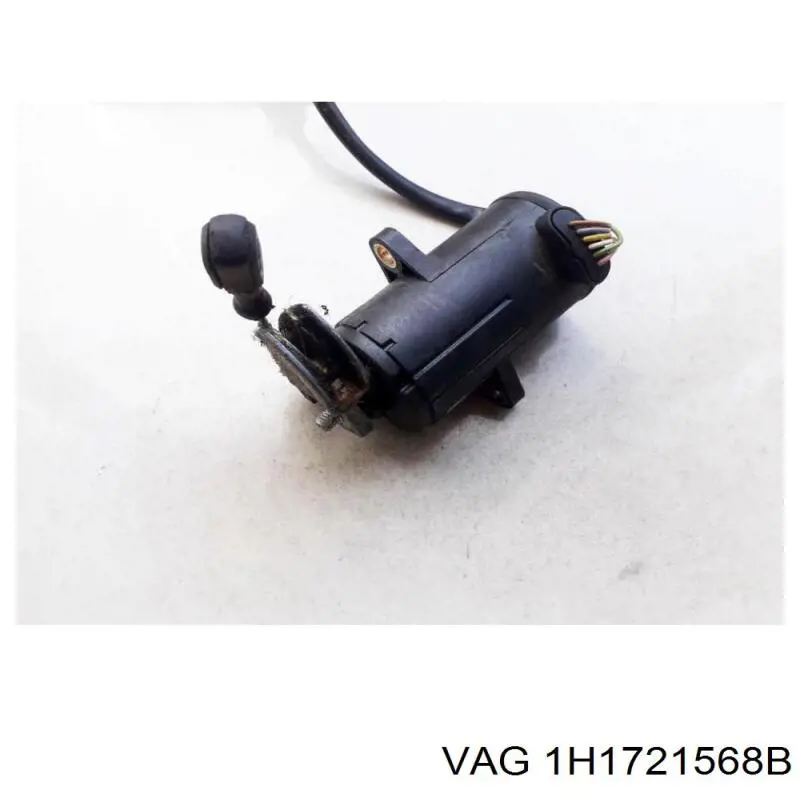 1H1721568B VAG 