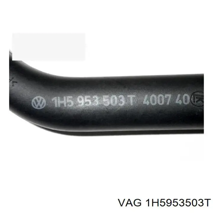  1H5953503T VAG