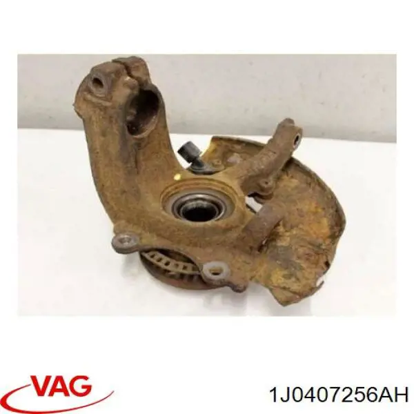 Цапфа (поворотный кулак) передний правый VAG 1J0407256AH цена, от 39.36 USD