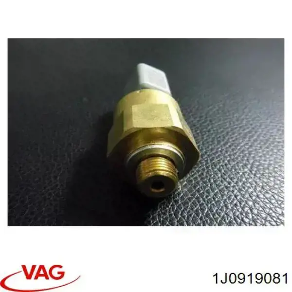 1J0919081 VAG