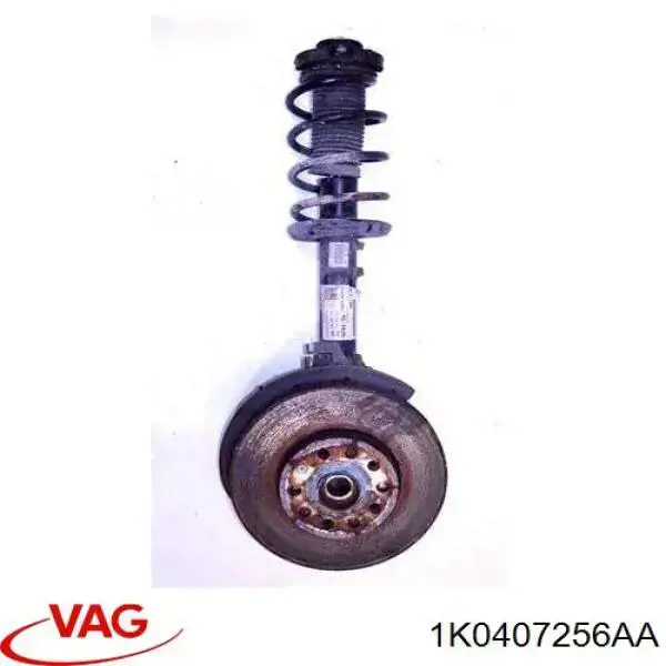 Цапфа (поворотный кулак) передний правый VAG 1K0407256AA цена, от 31.67 USD