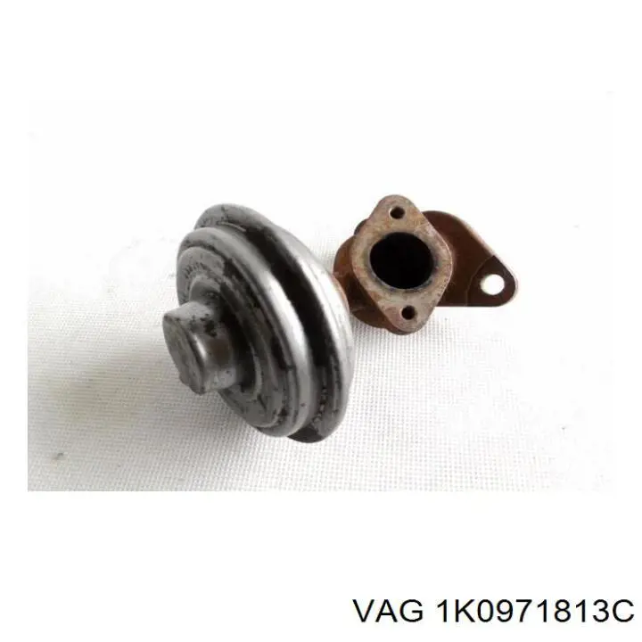 1K0971813C VAG 