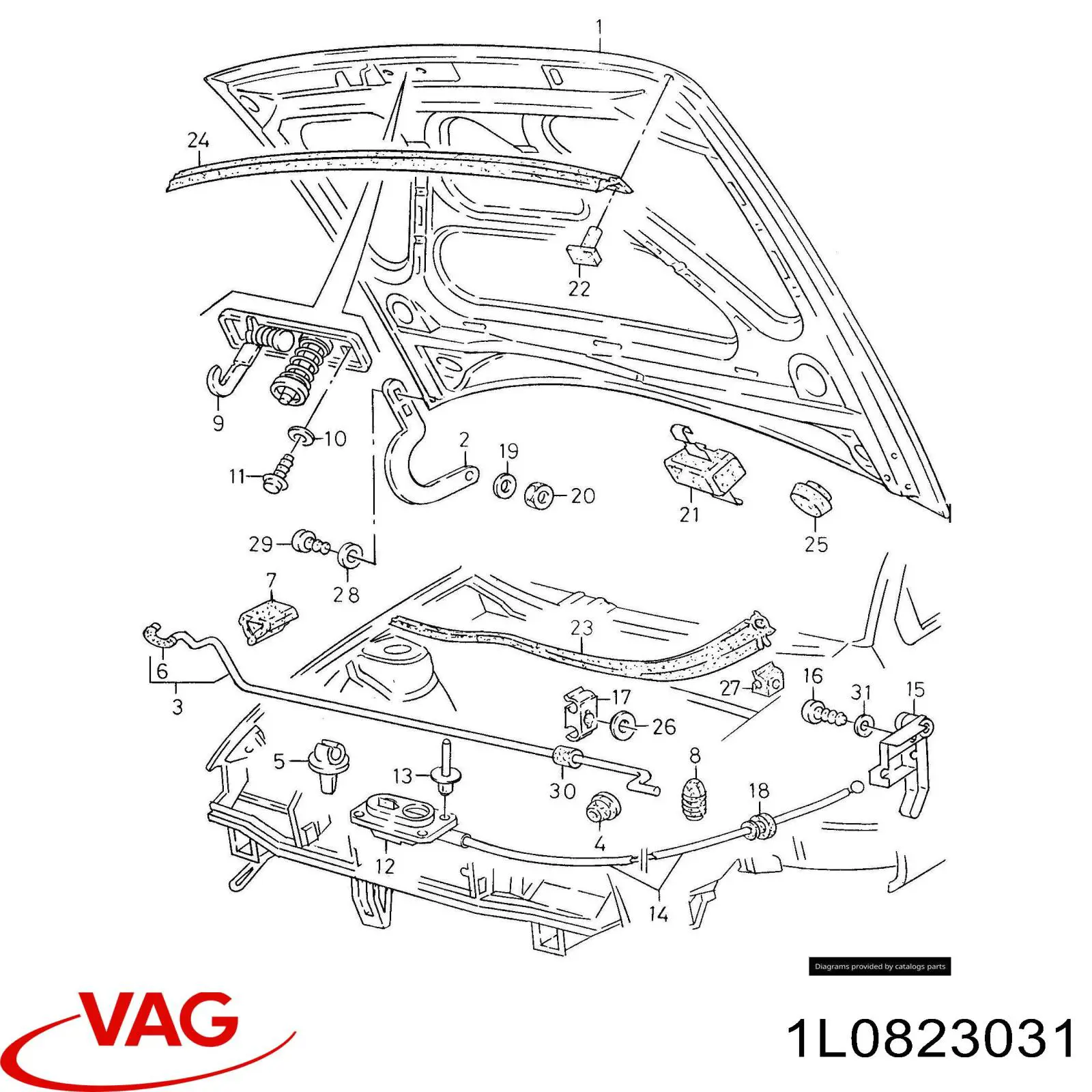 Капот 672203 Polcar