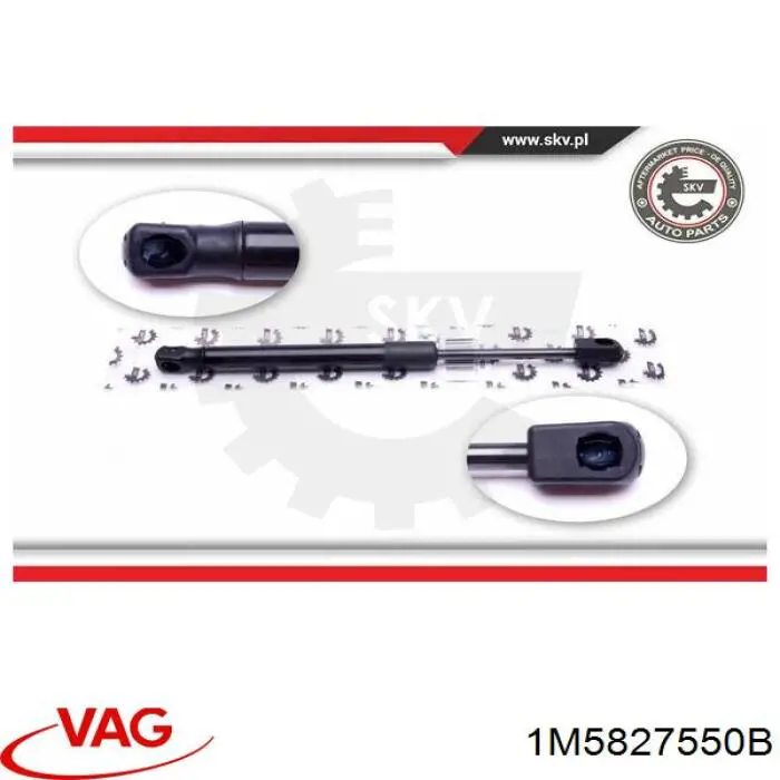 1M5827550B VAG Амортизатор крышки багажника