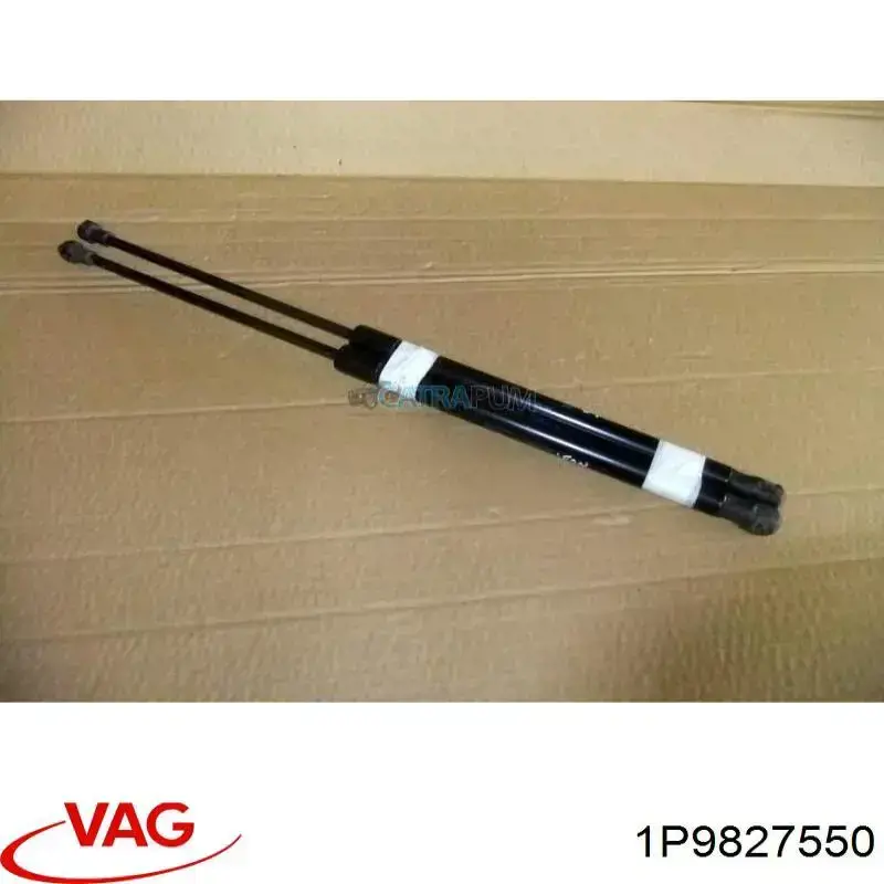  1P9827550 VAG