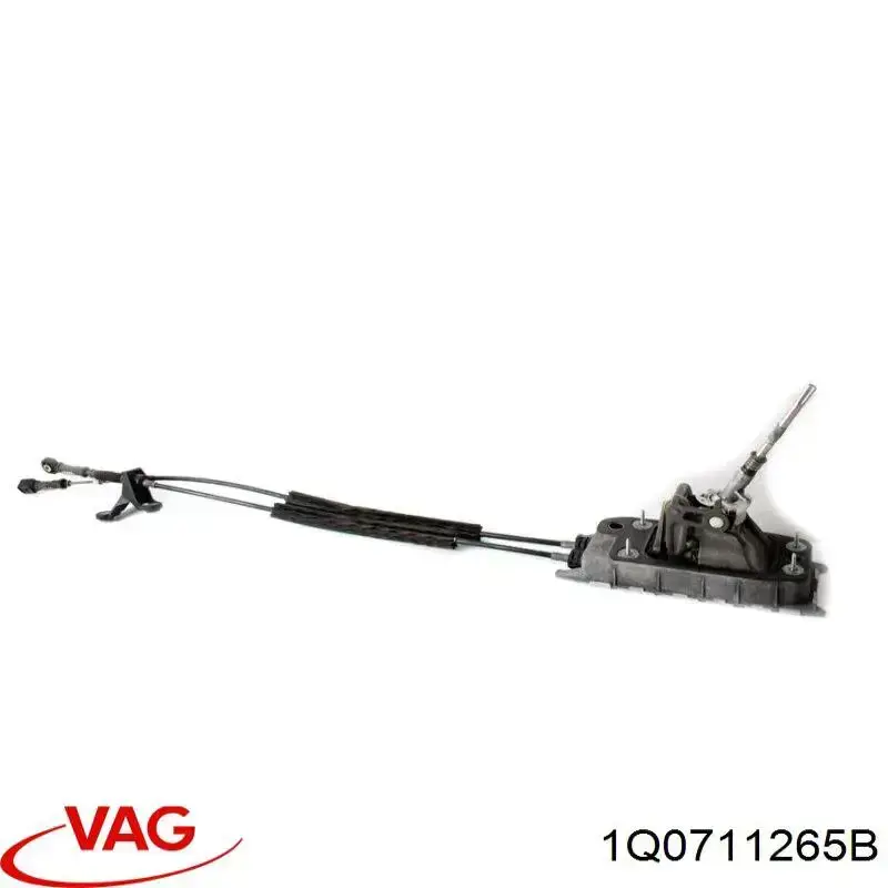  1Q0711265B VAG