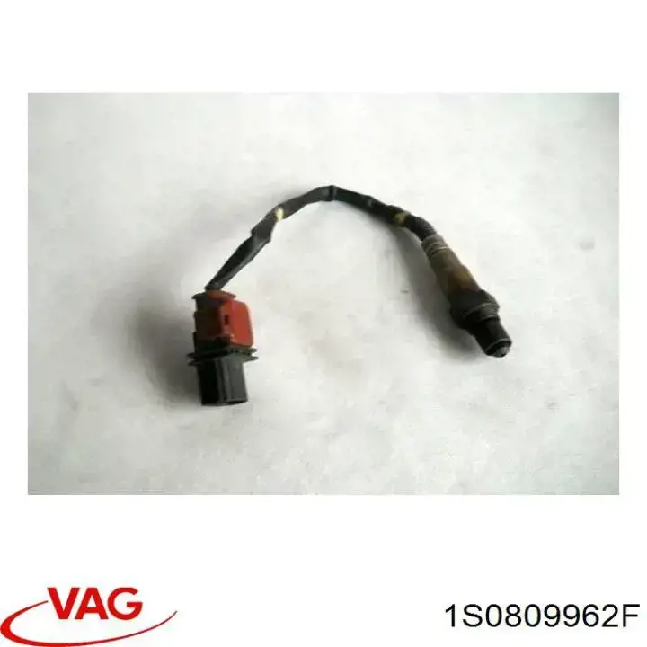 Купить 1S0809962F VAG Подкрылок передний правый