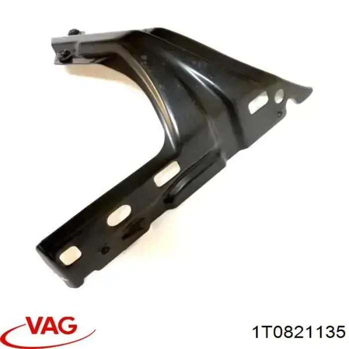 1T0821135 VAG 