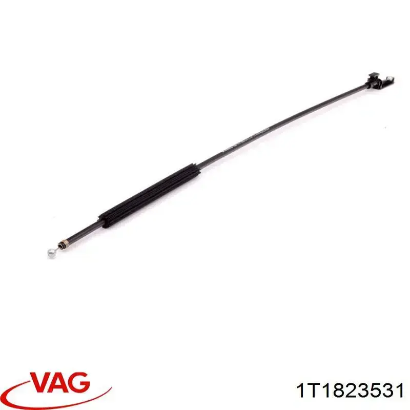 1T1823531 VAG 