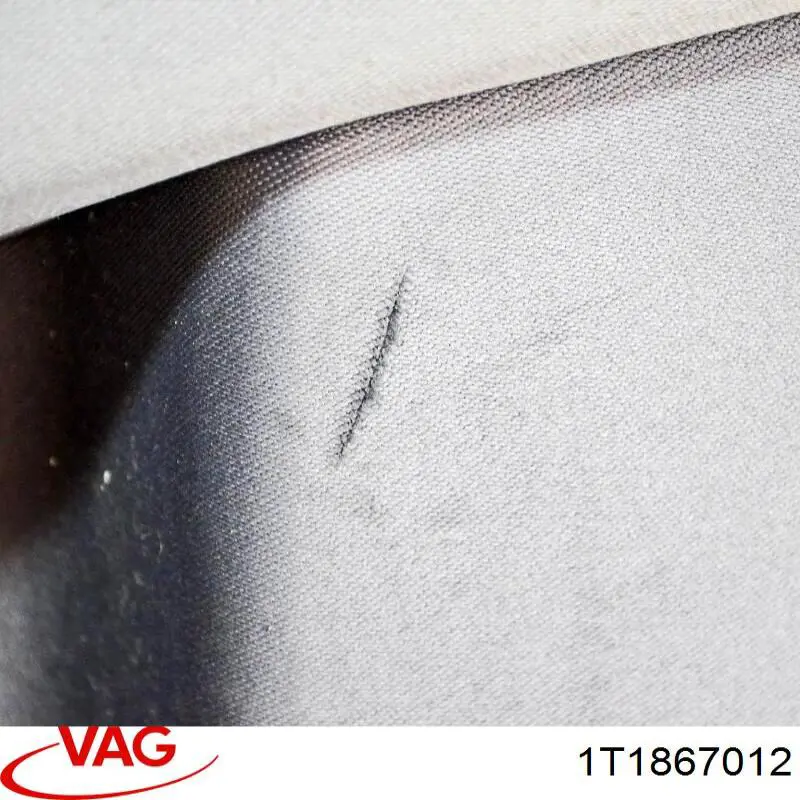 1T1867012 VAG 