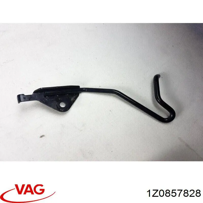 1Z0857828 VAG 