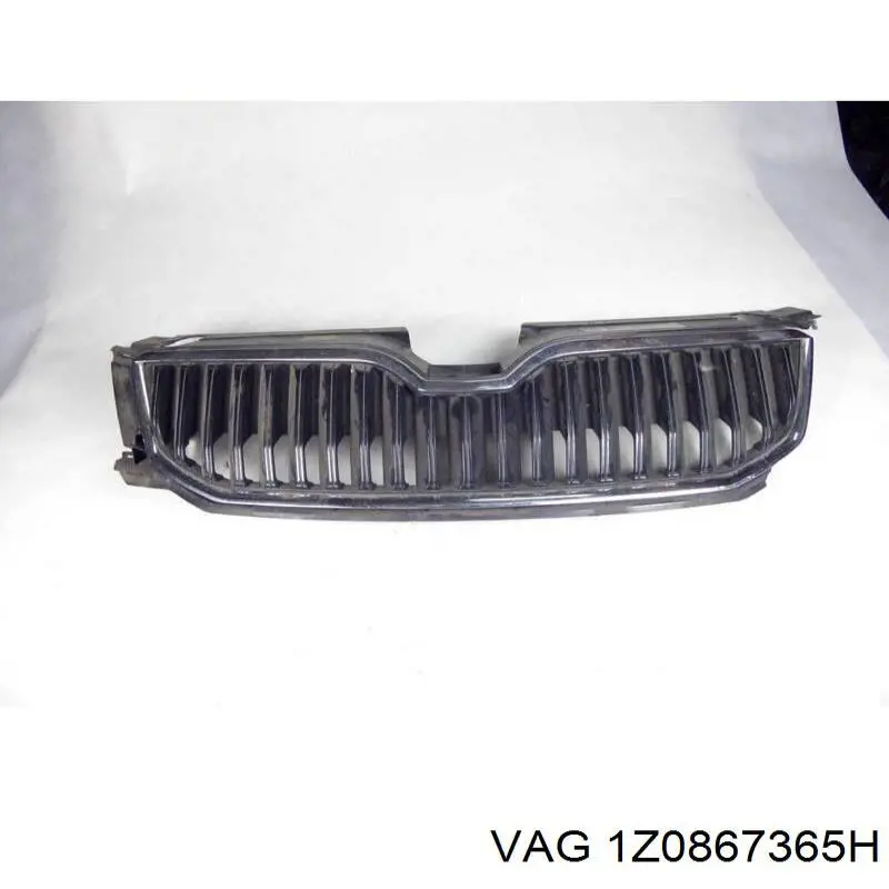  1Z0867365H VAG