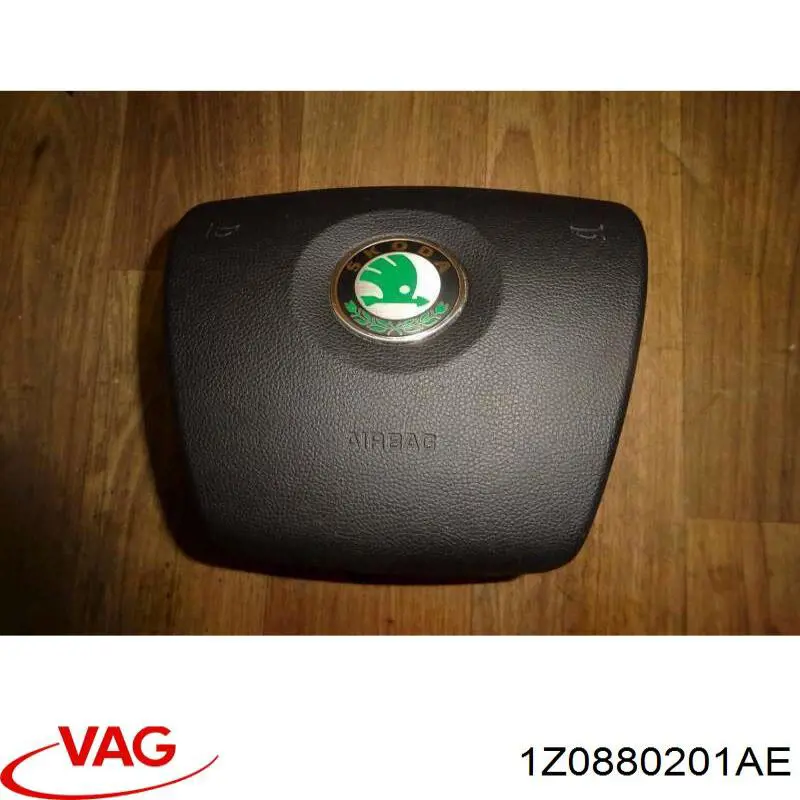 1Z0880201AE VAG 