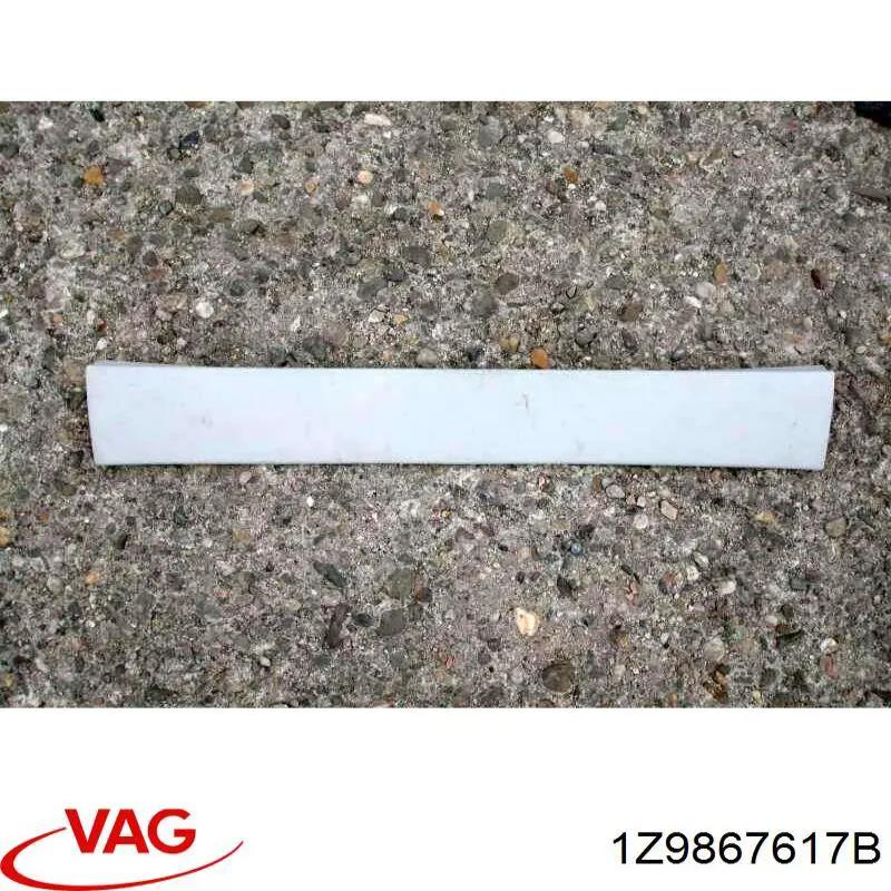 1Z9867617B VAG 