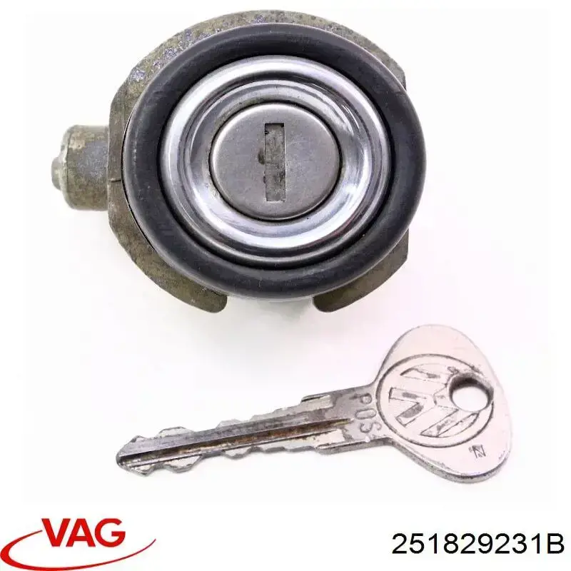 Купить 251829231B VAG 