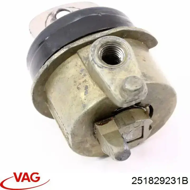  VAG 251829231B цена, от 14.11 USD