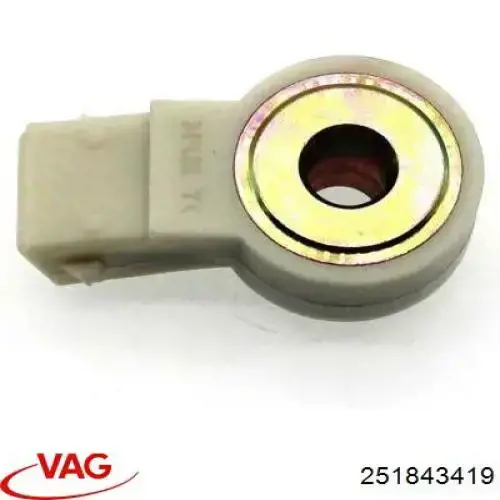  251843419 VAG