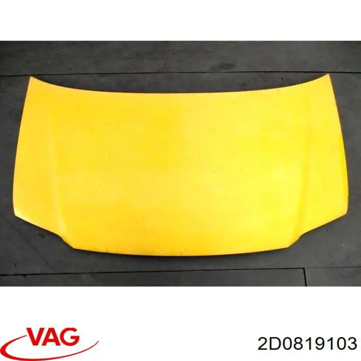  VAG 2D0819103