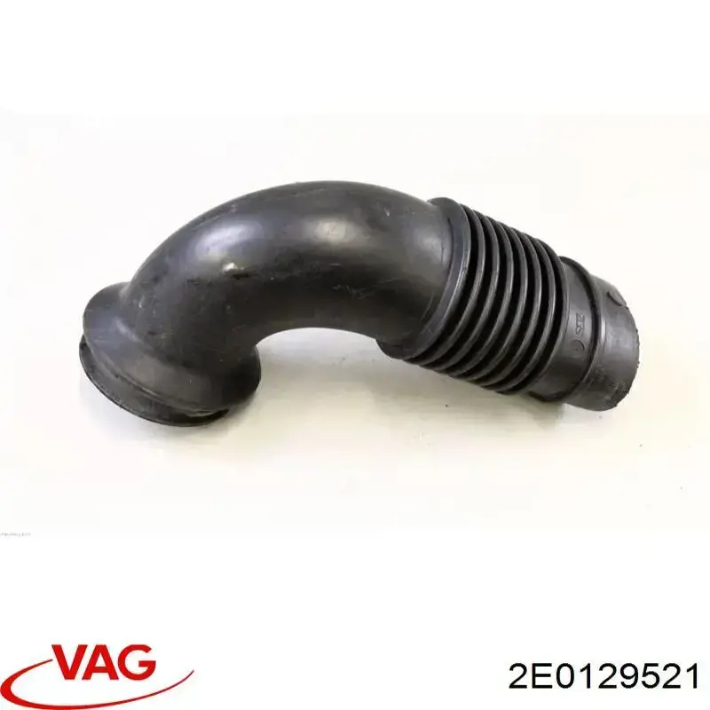 2E0129521 VAG 