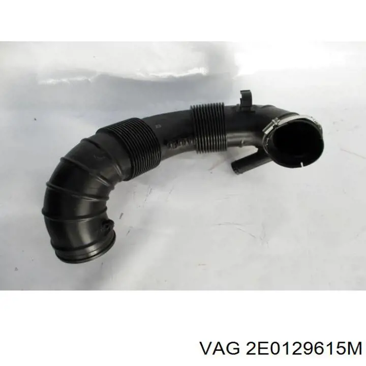 2E0129615M VAG 