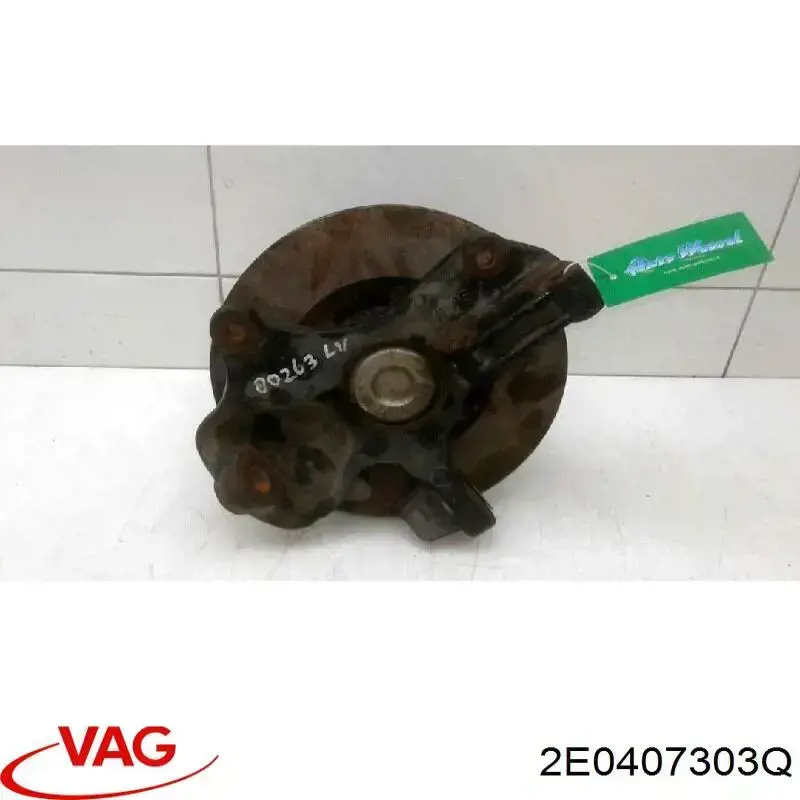 Цапфа передняя левая 2E0407303Q VAG