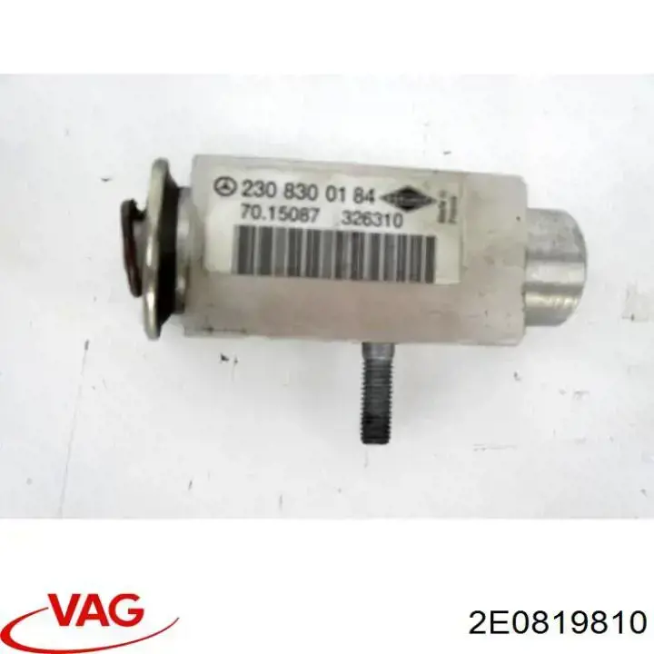 2E0819810 VAG 