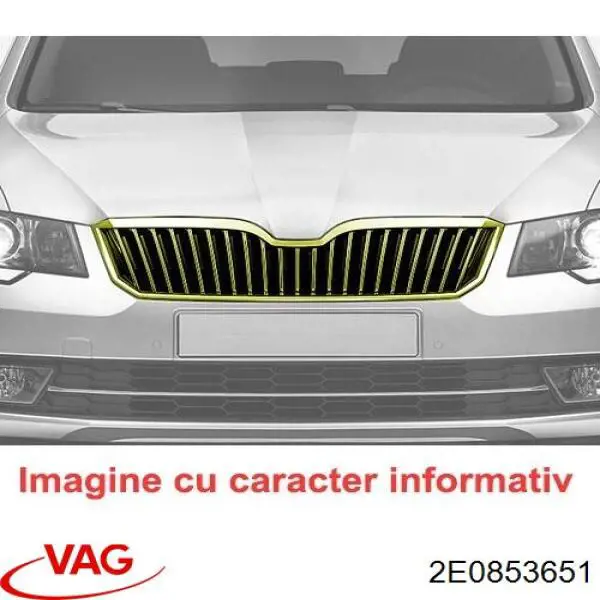 Решетка радиатора PVW07101GA Signeda