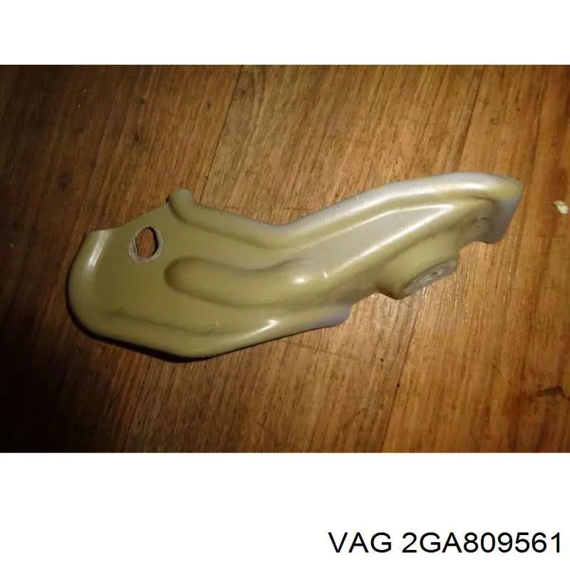 2GA809561 VAG 