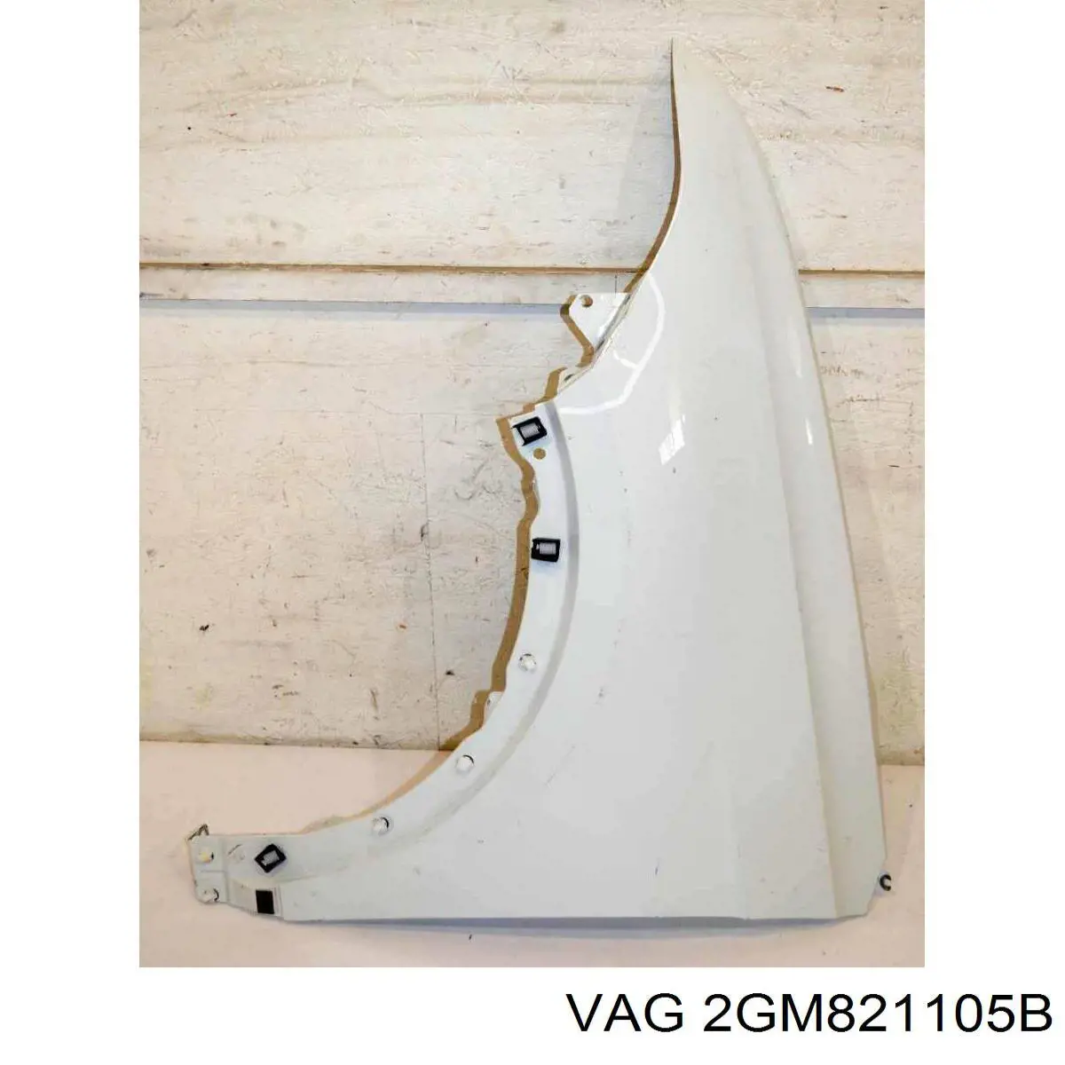  2GM821105B VAG