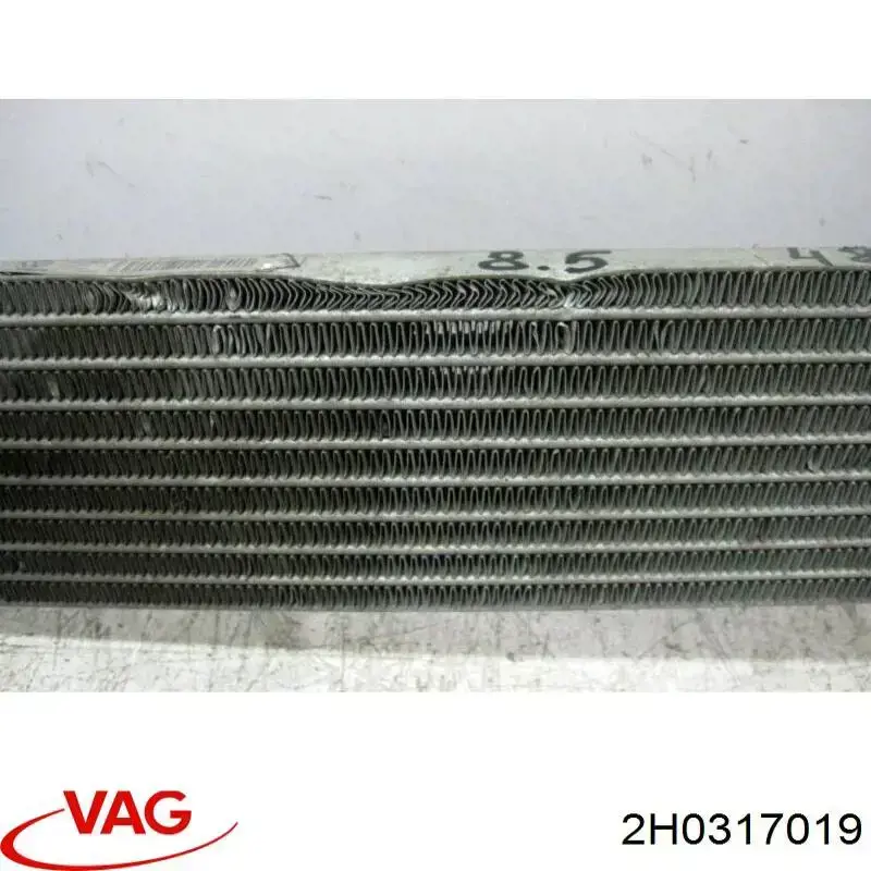 2H6317019 VAG 