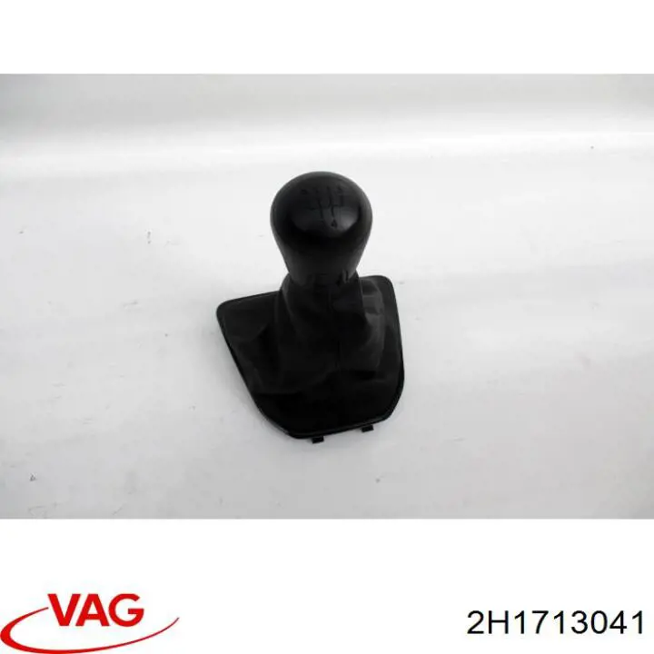 2H1713041D VAG 