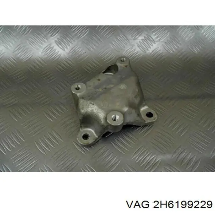 2H6199229 VAG 