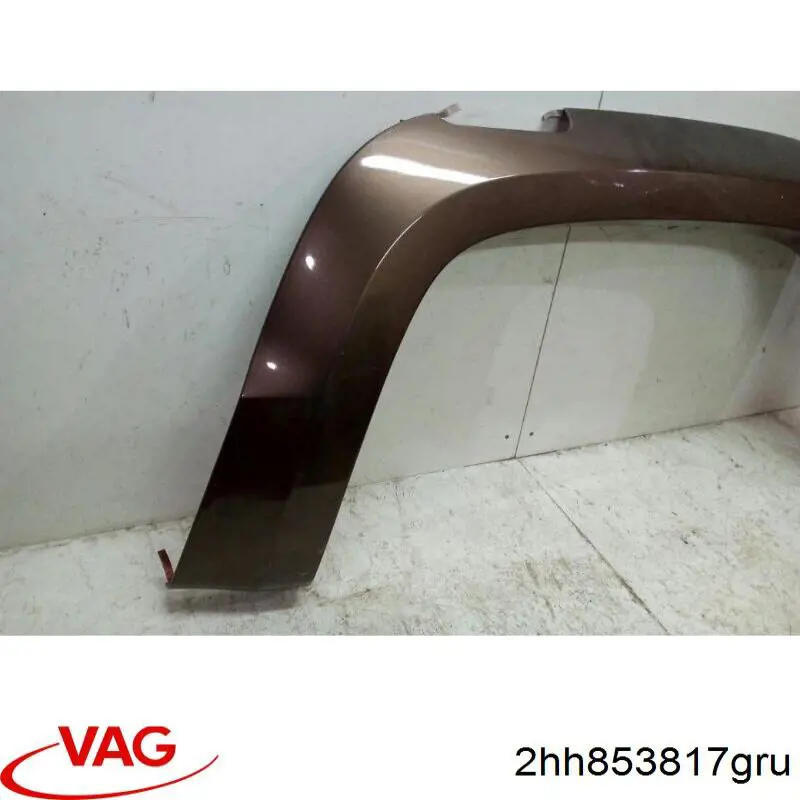 2HH853817GRU VAG 