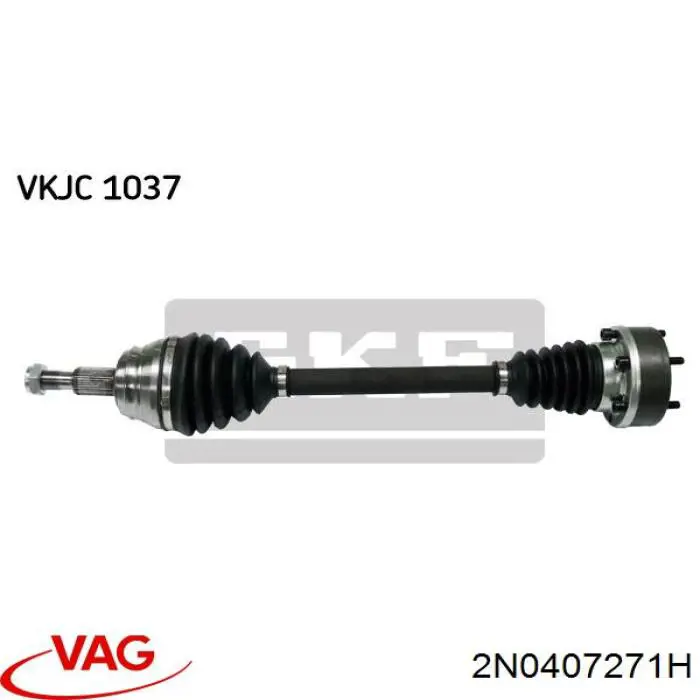  2N0407271H VAG