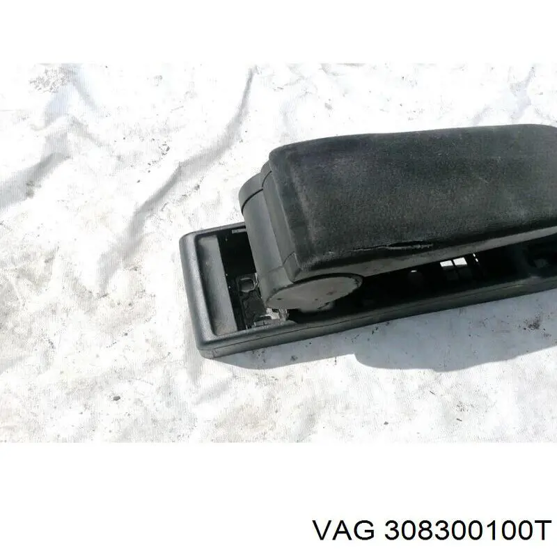  VAG 308300100T