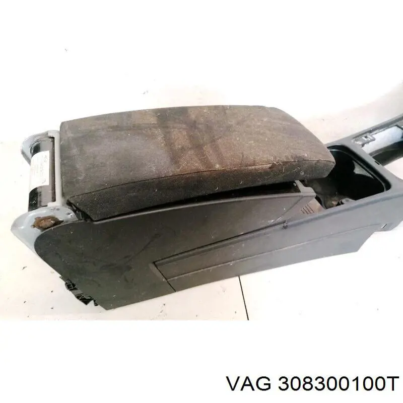 308300100T VAG 
