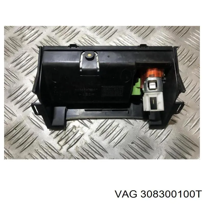 308300100T VAG 