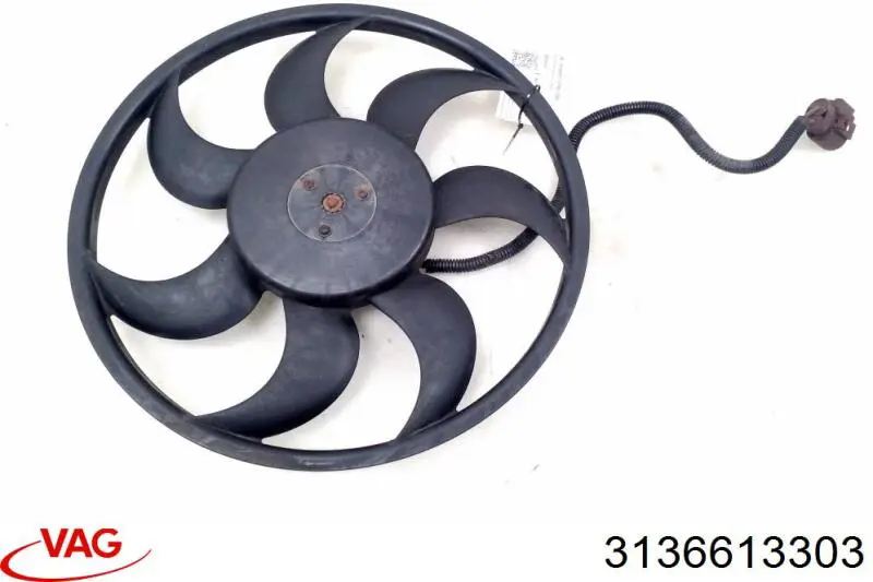 3136613303 VAG 